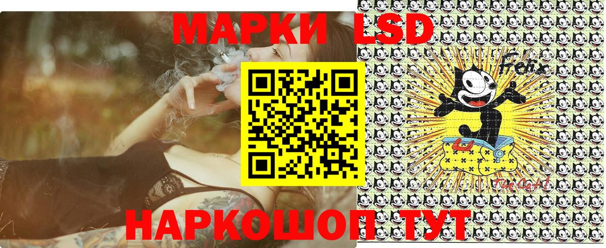 МЕФ Таганрог