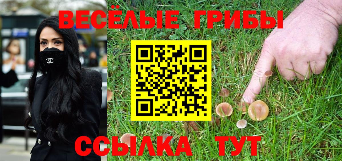 Псилоцибиновые грибы GOLDEN TEACHER  Вход с VPN  Псилоцибиновые грибы MAGIC MUSHROOMS  Таганрог 